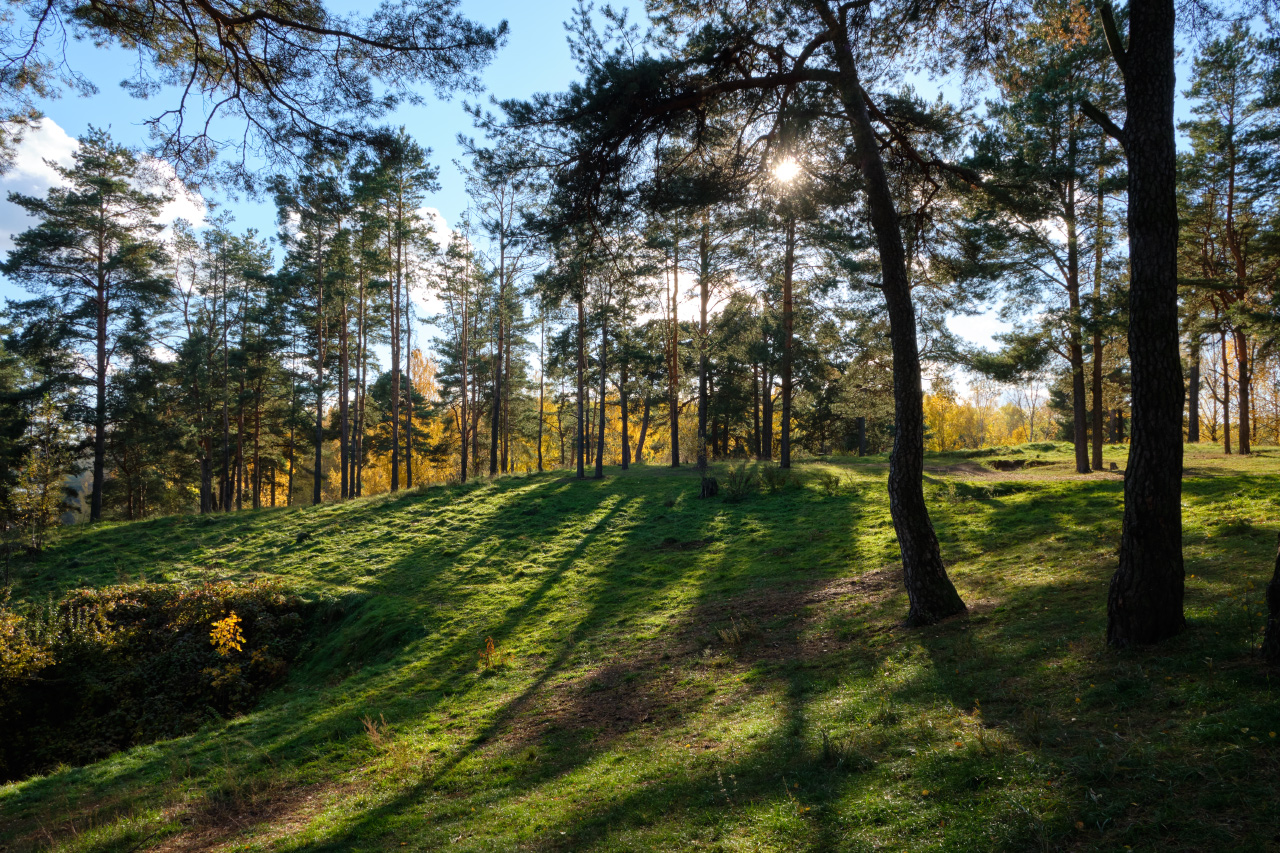 Auf dem Hügel Iourieva