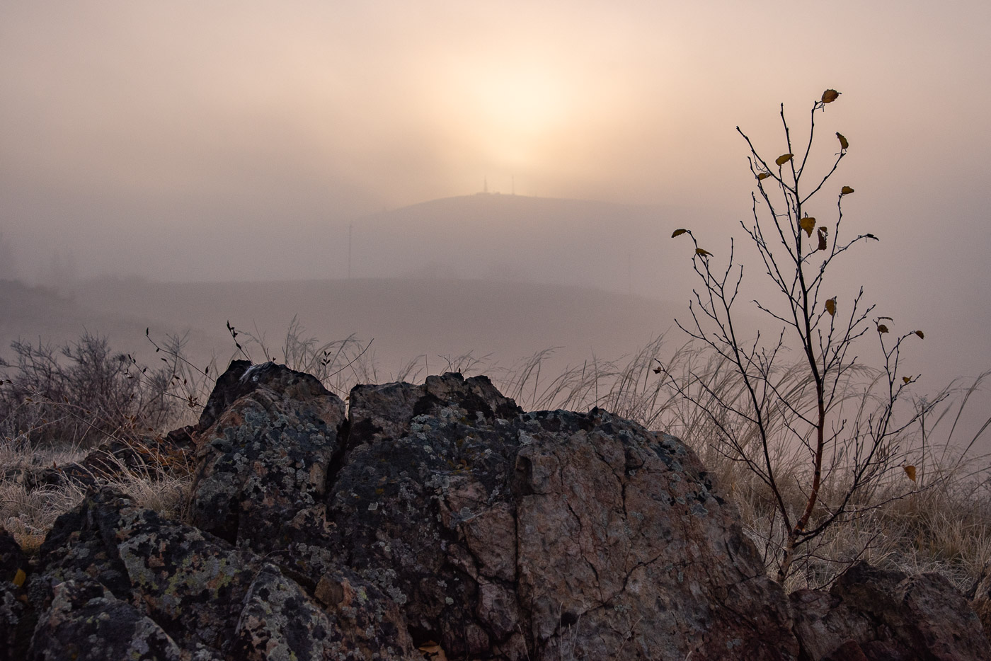 Der Geruch des Herbstes