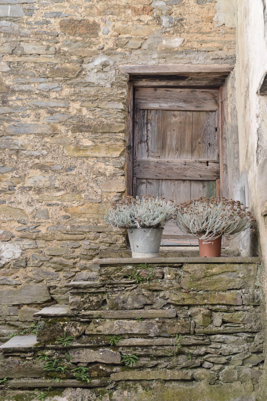 old door and staircase
