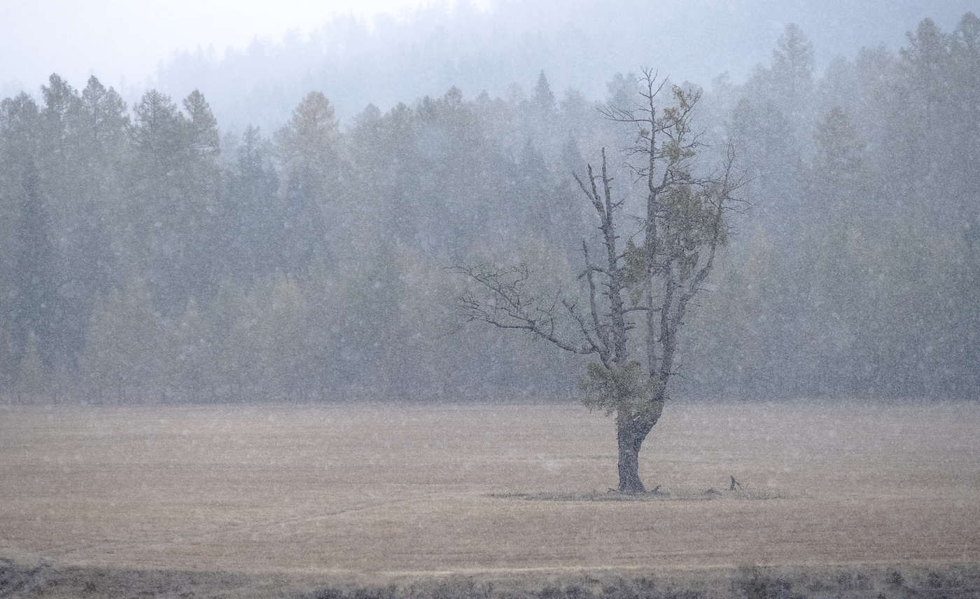 Die Kraft des Lebens.