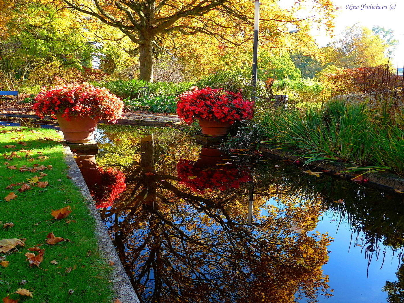 Planten un Blomen Hamburg