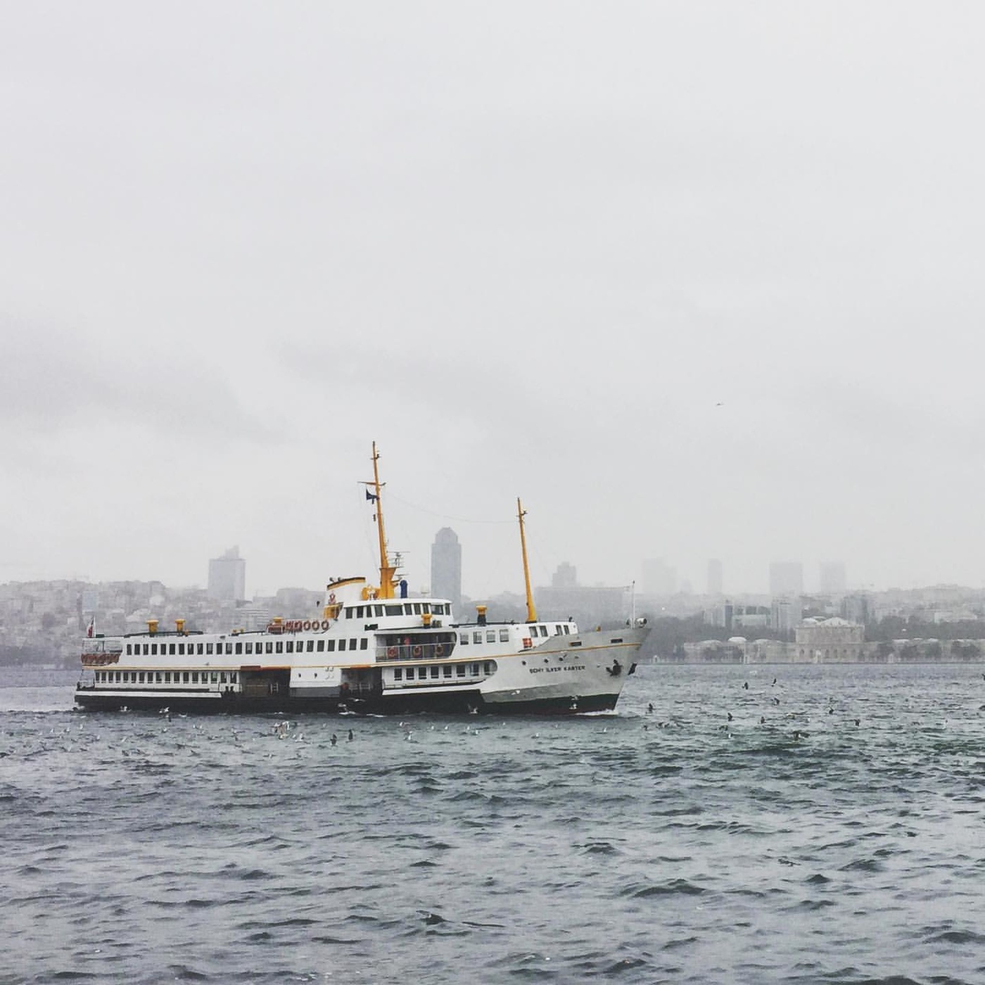 The ship in the blue