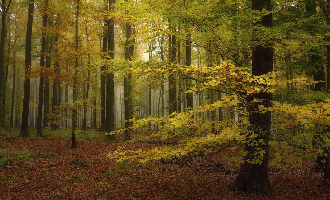 letzten Tag des Monats Oktober