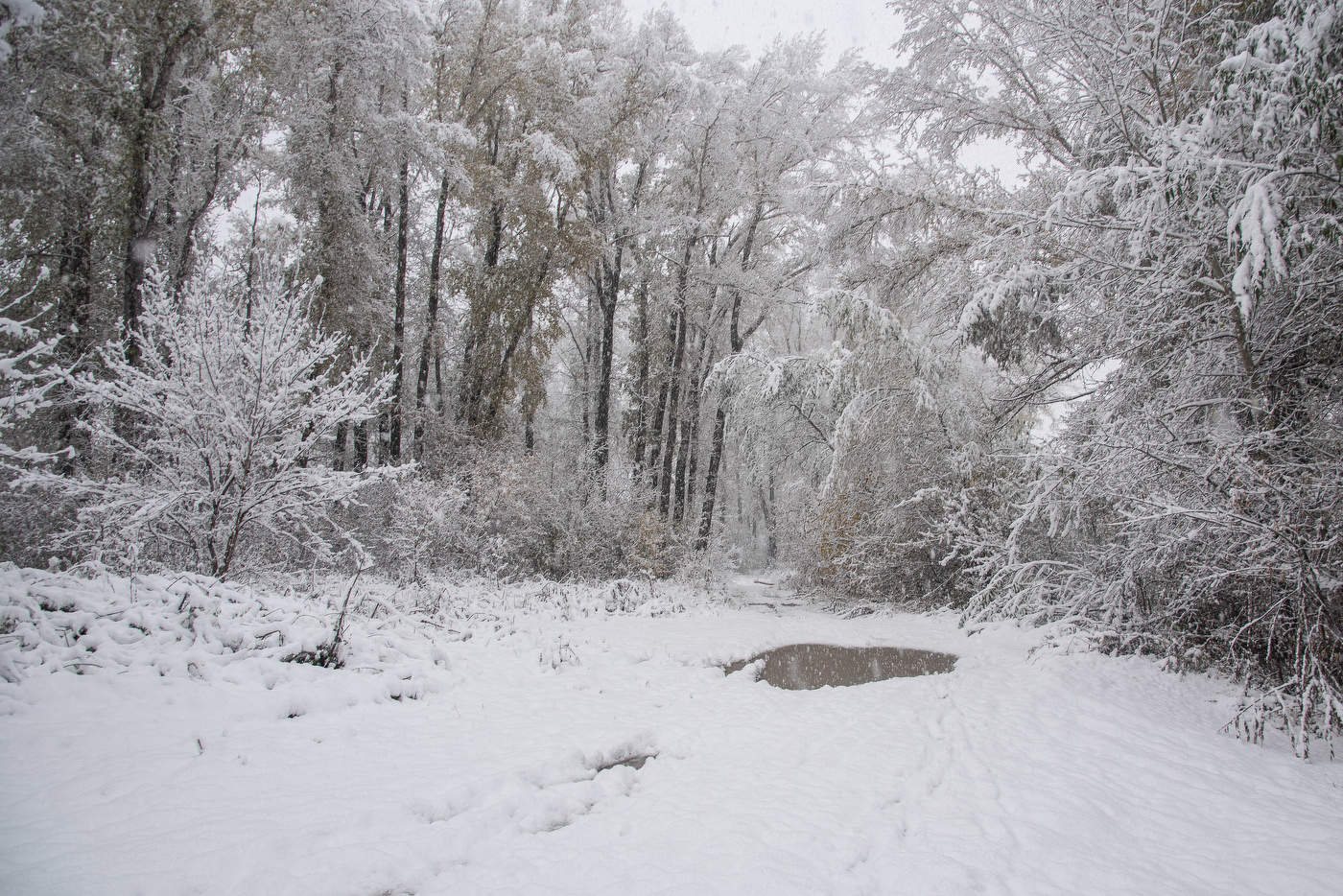 Der Winter kommt ...