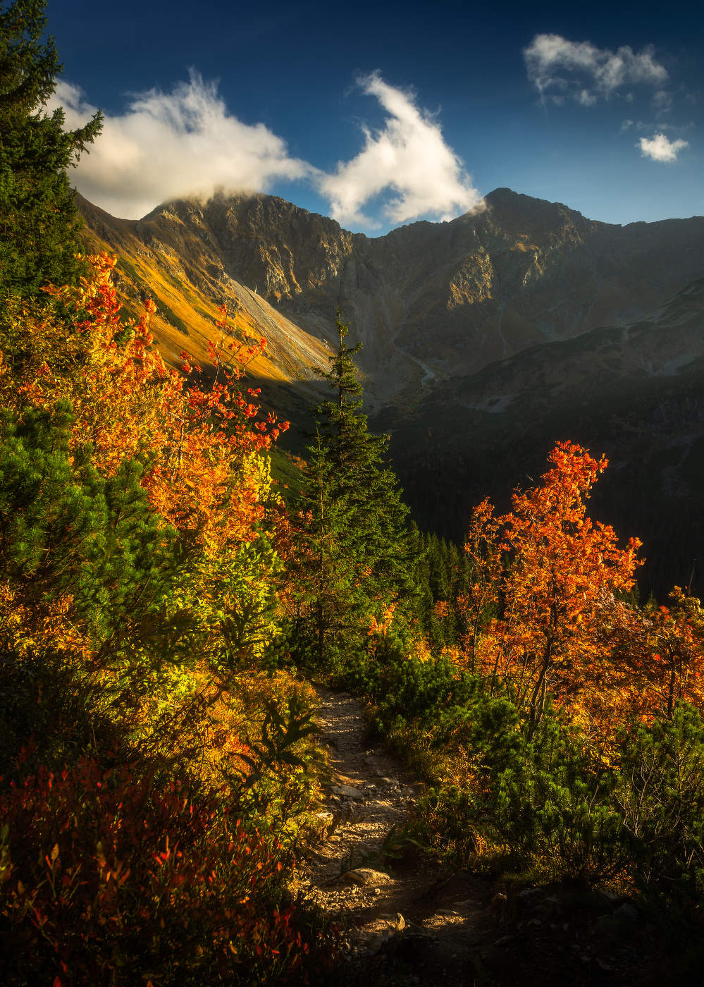 Autumn in the mountains