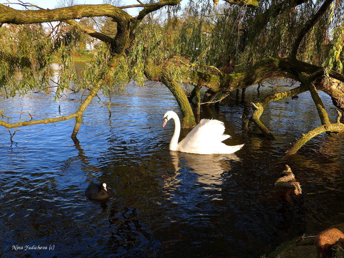 Alster Hamburg