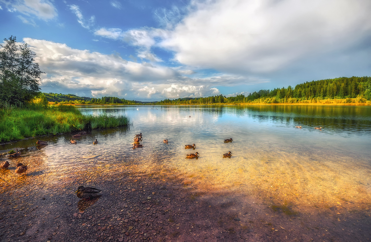 Erinnerungen an den Sommer
