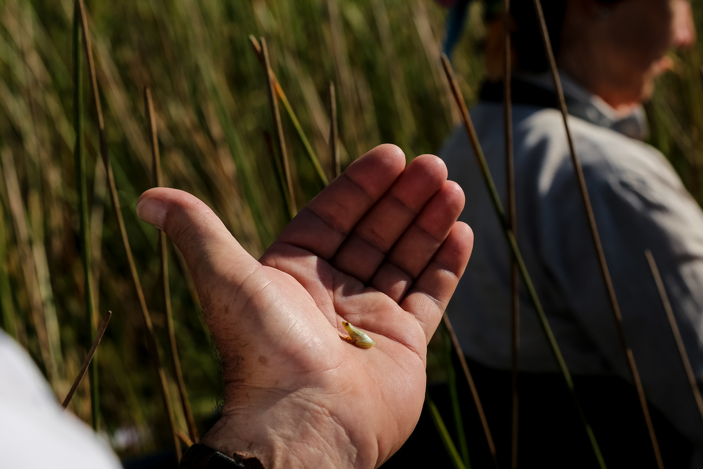 Bootstour im Okawango Delta