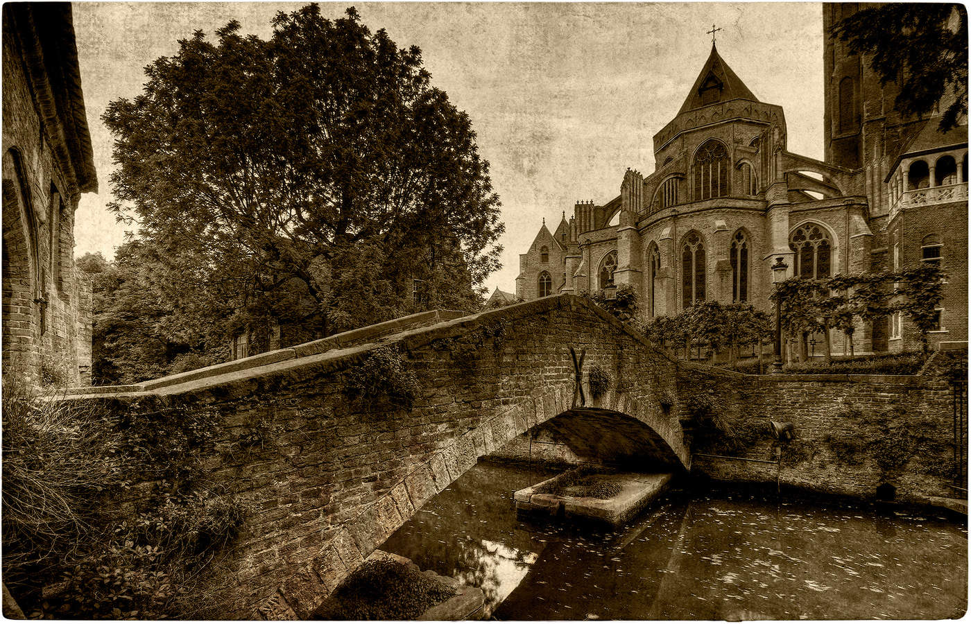 Vintage Old Postcards