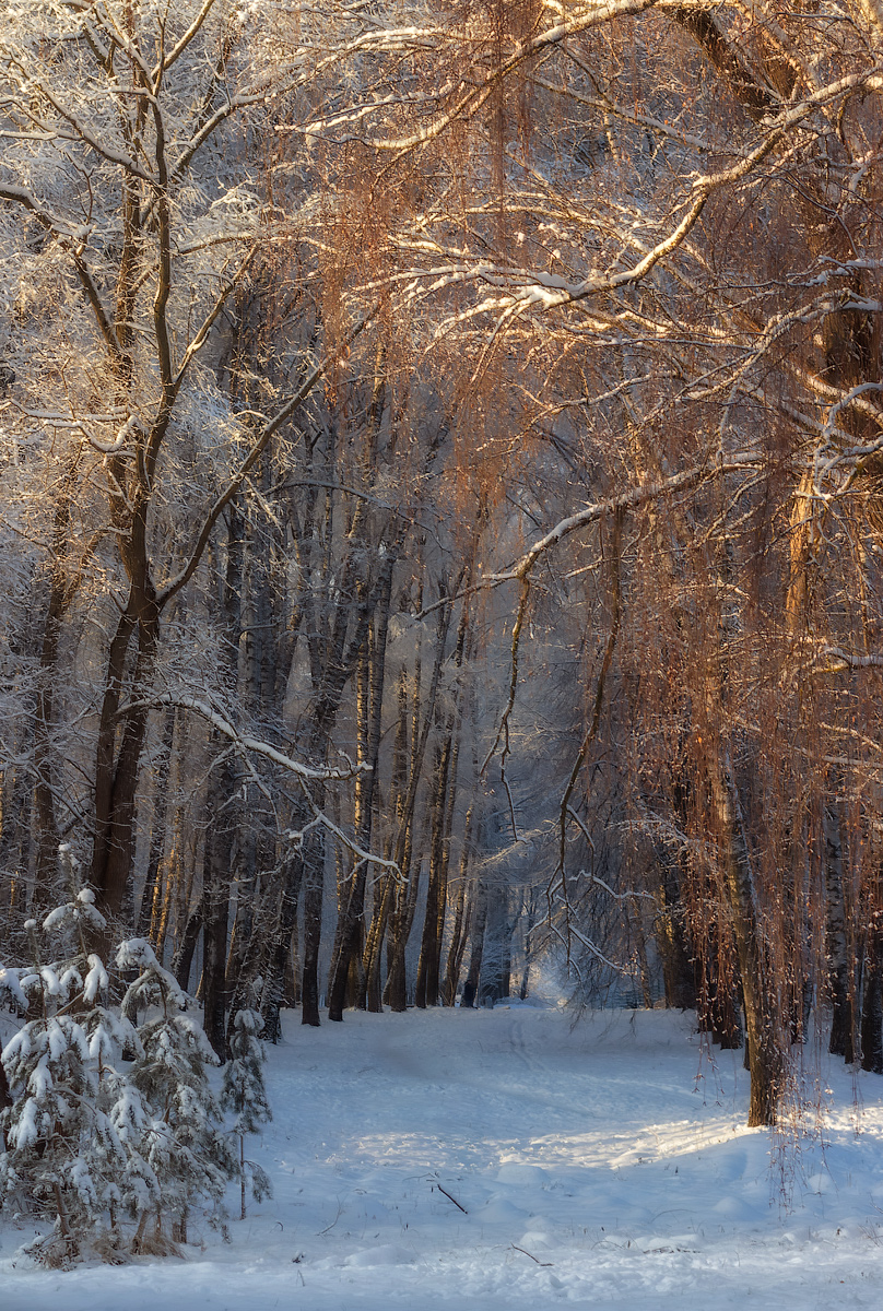 Der Winter ist gekommen ...