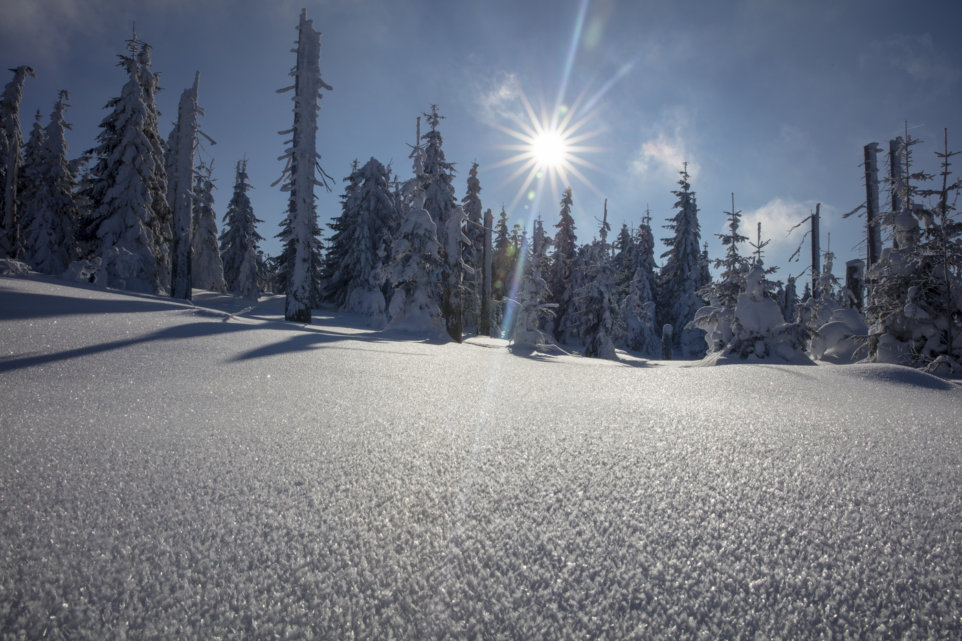 Sunstar over Mount Lusen Bavarian Forest Nature Reserve