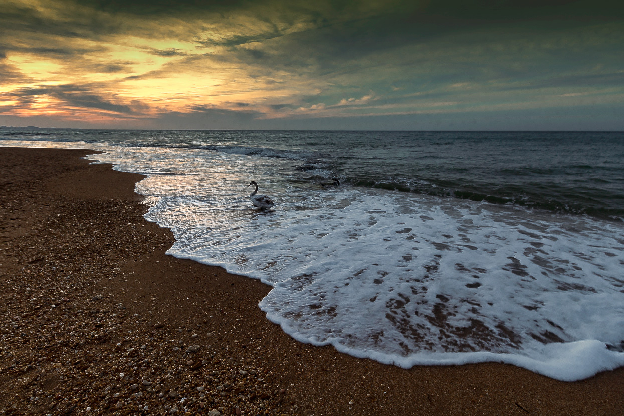 Abendstimmung am Meer