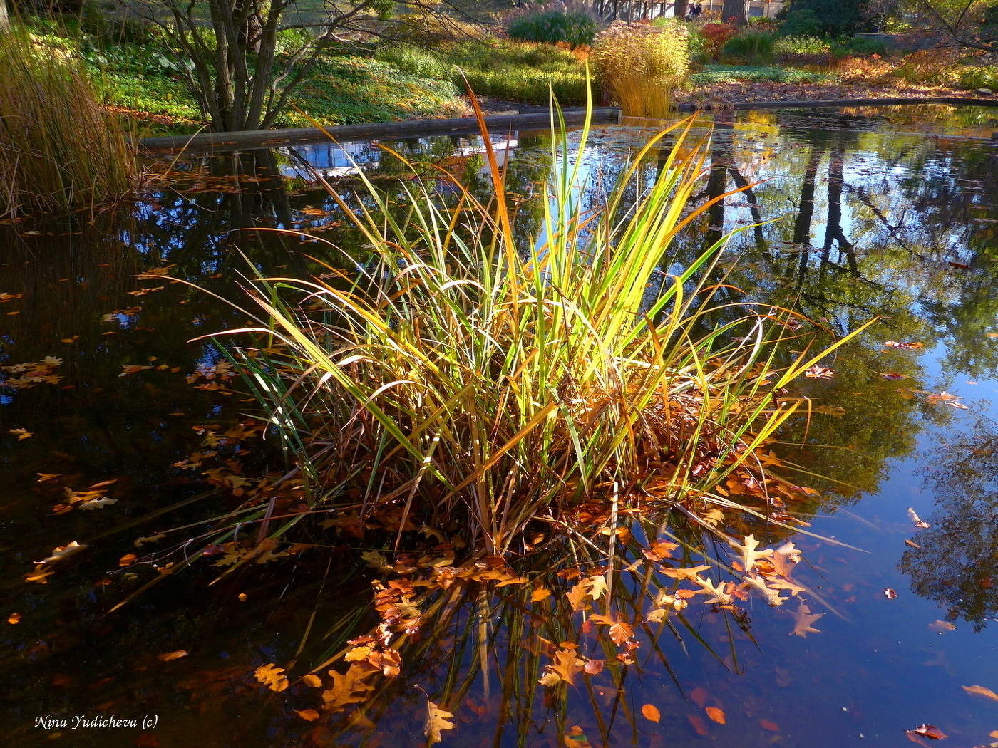 Planten un Blomen Hamburg