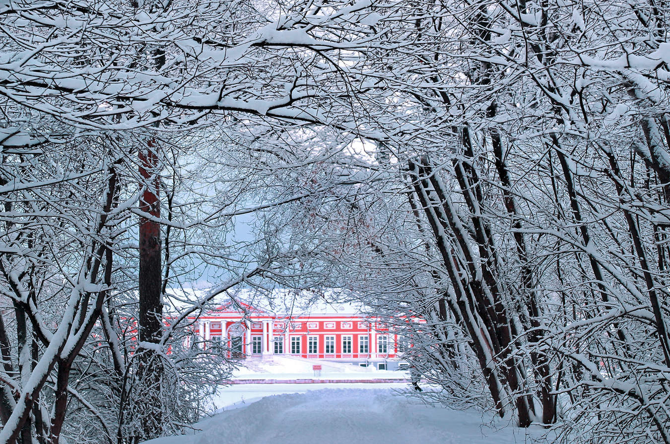 View of the Palace...