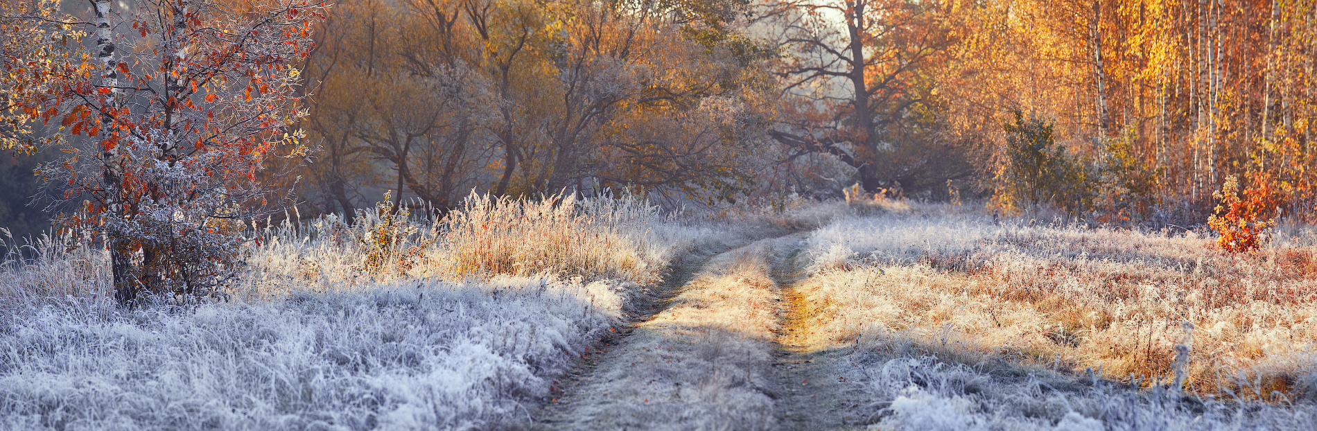 Frost und Sonne - einen wundervollen Tag!