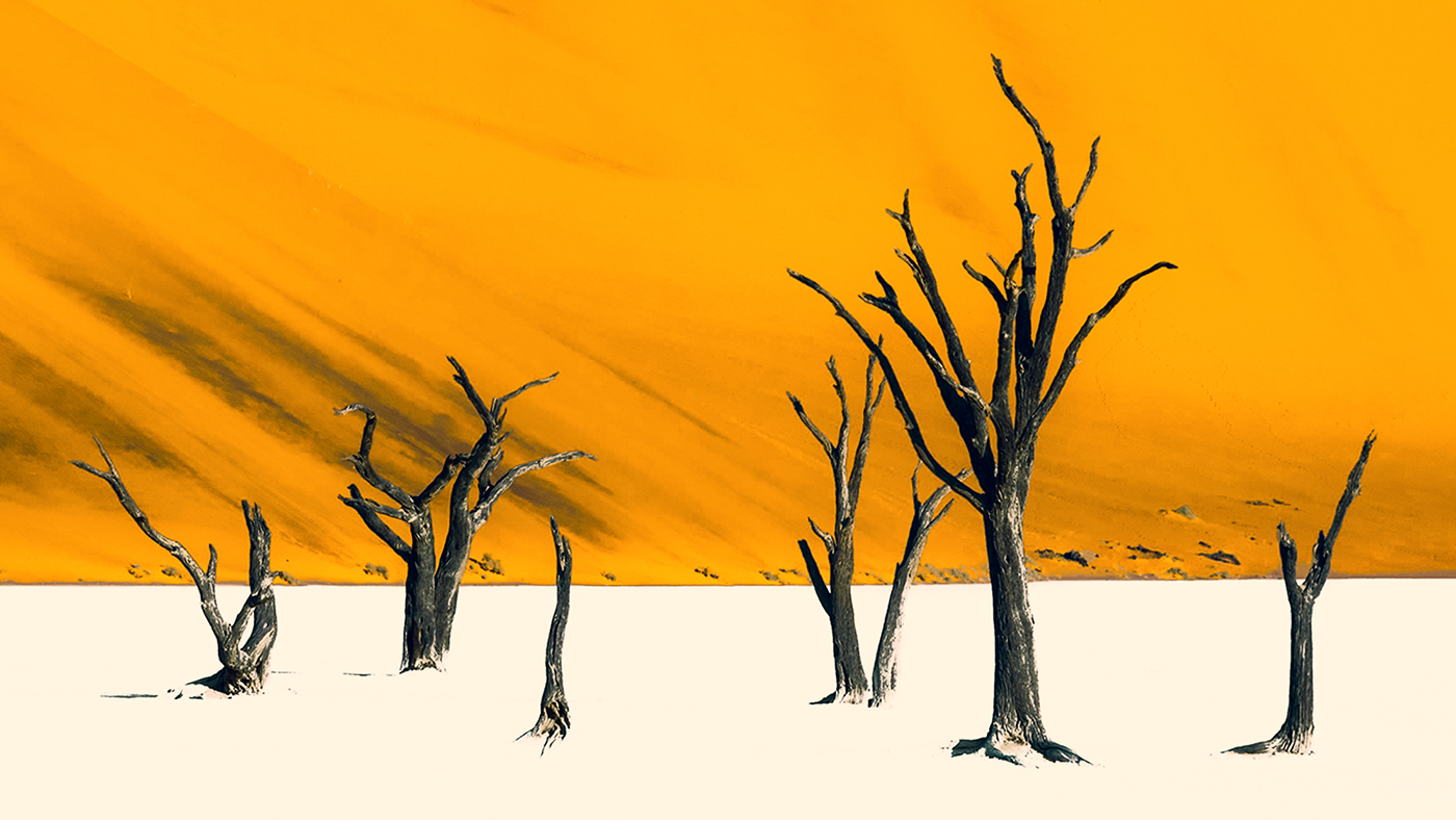 Sossusvlei Minimalistic