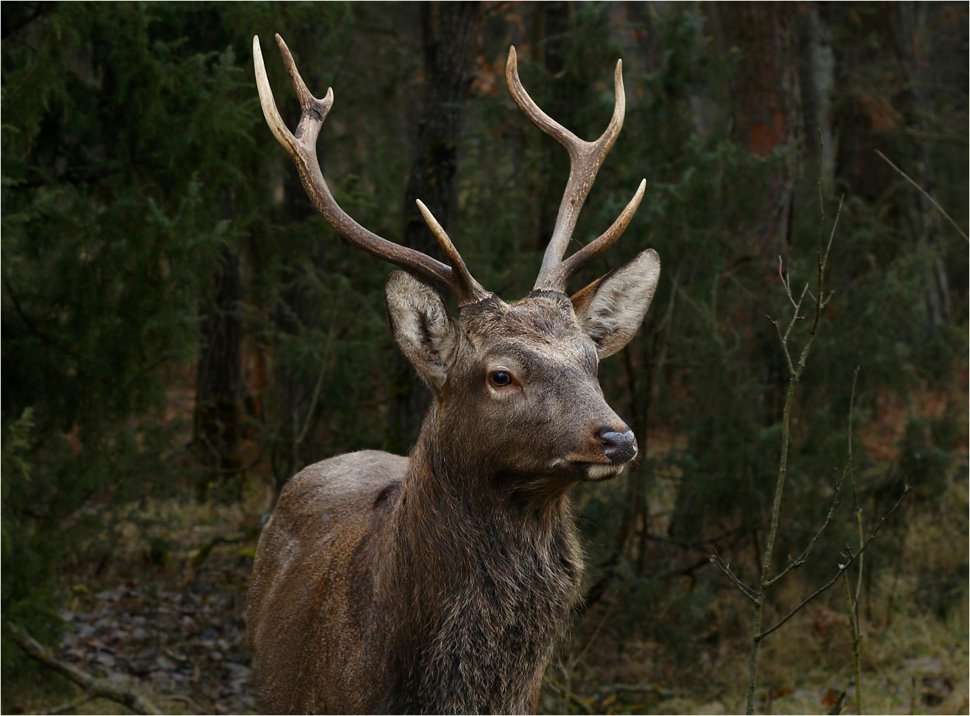 Ein zufälliges Treffen