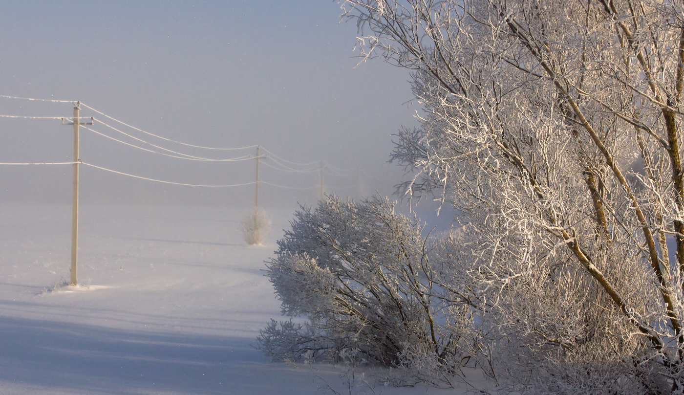 Misty Morgen, Morgen sedoe ...