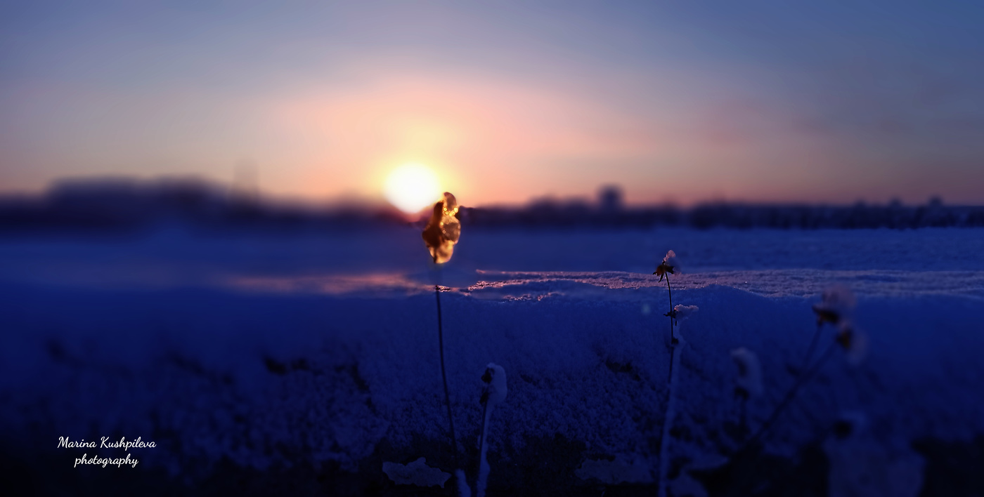 Im Anschluss an die Sonne