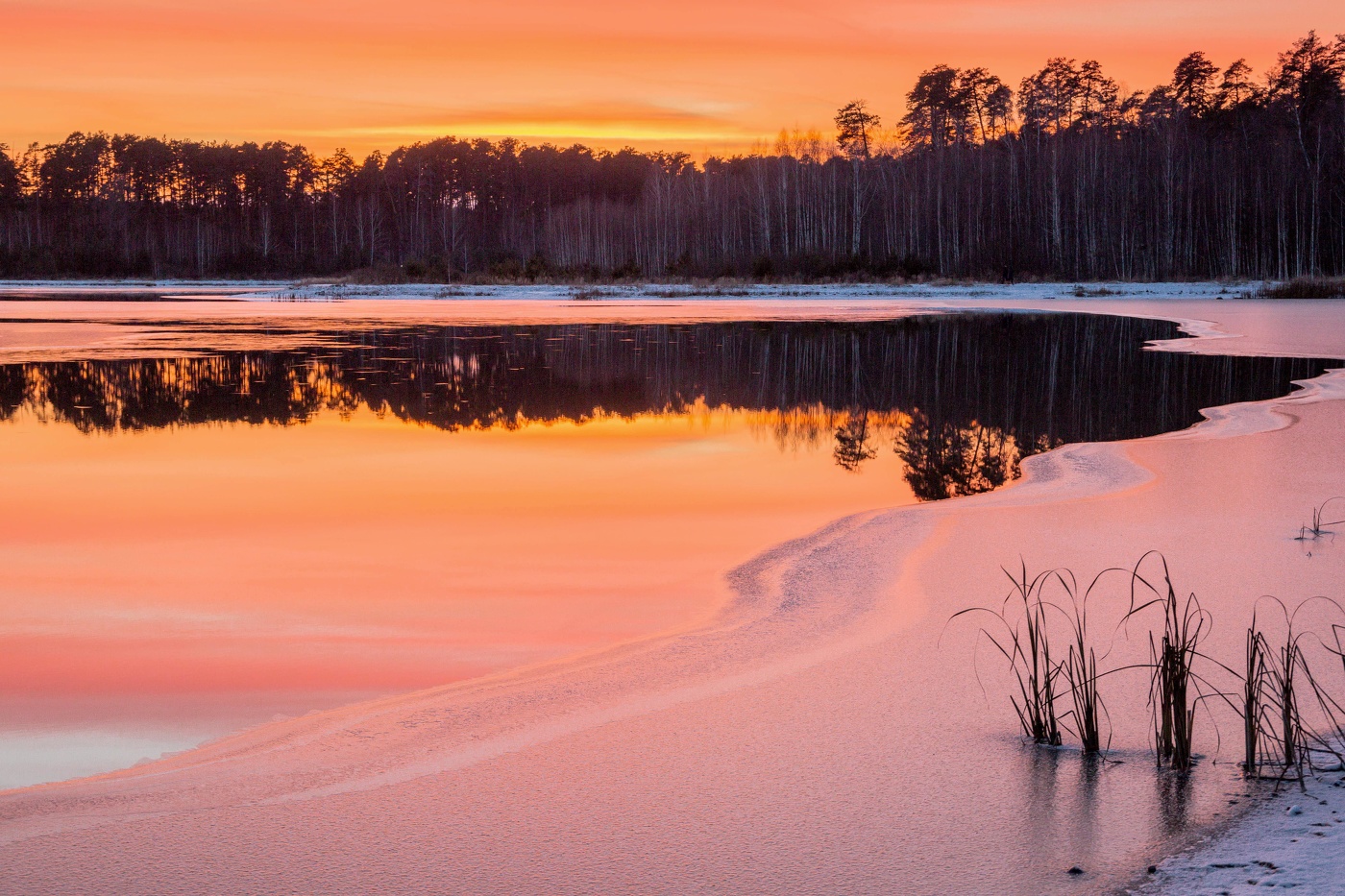 Purpurroter Sonnenuntergang
