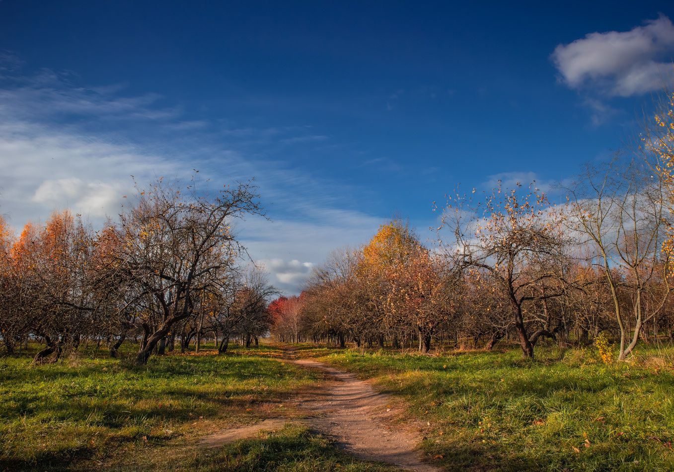Herbst Garten