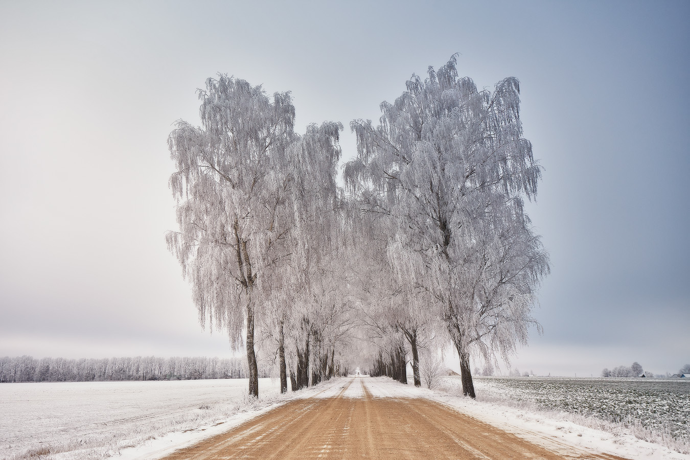 Herbst Morgendämmerung