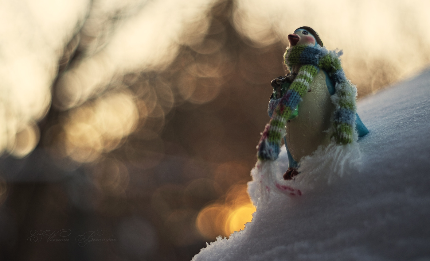 Herbst Morgendämmerung