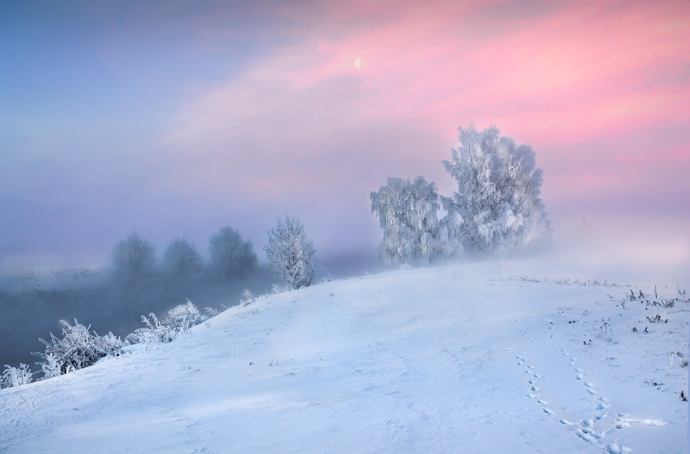 den Zauber des Winters