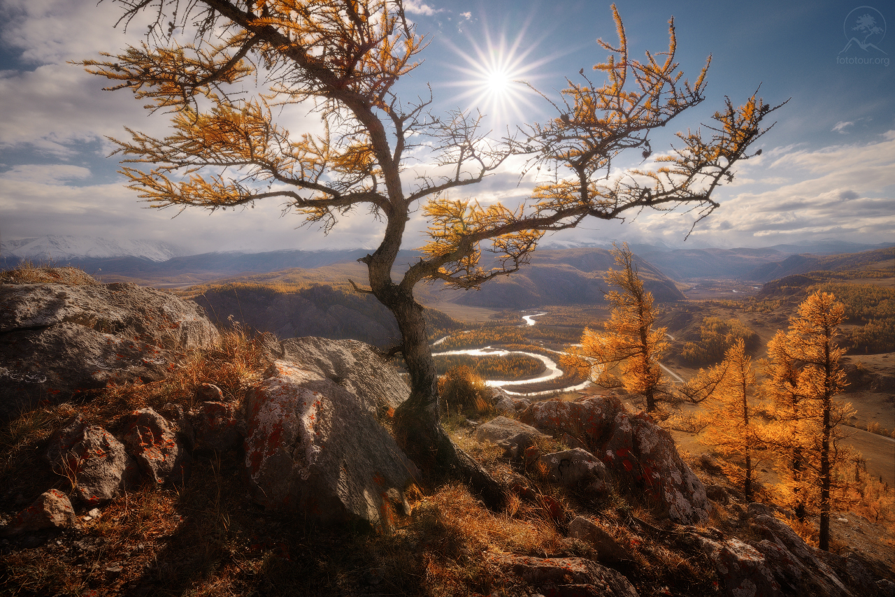Autumn Altai