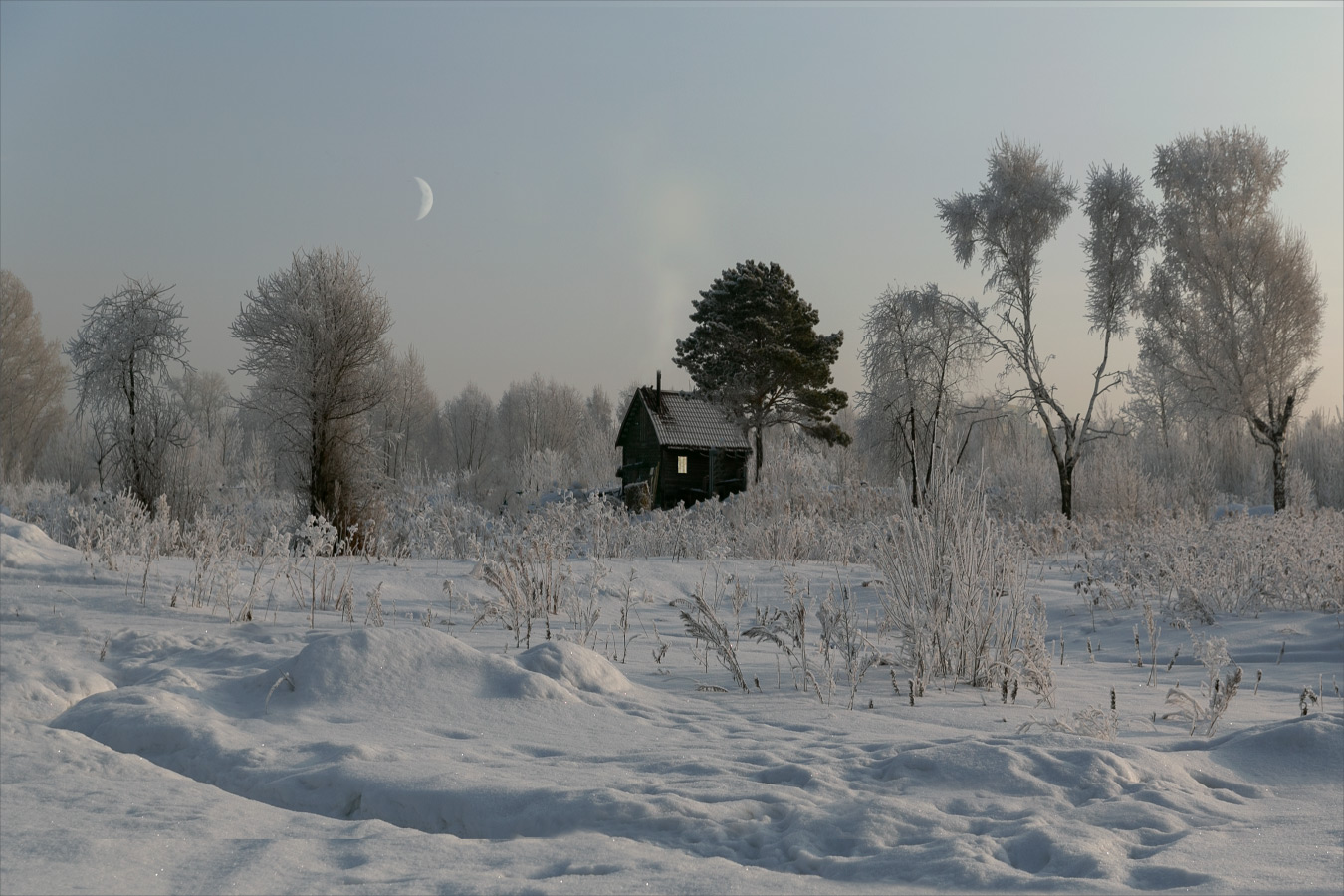 Im Wald am Rande ...