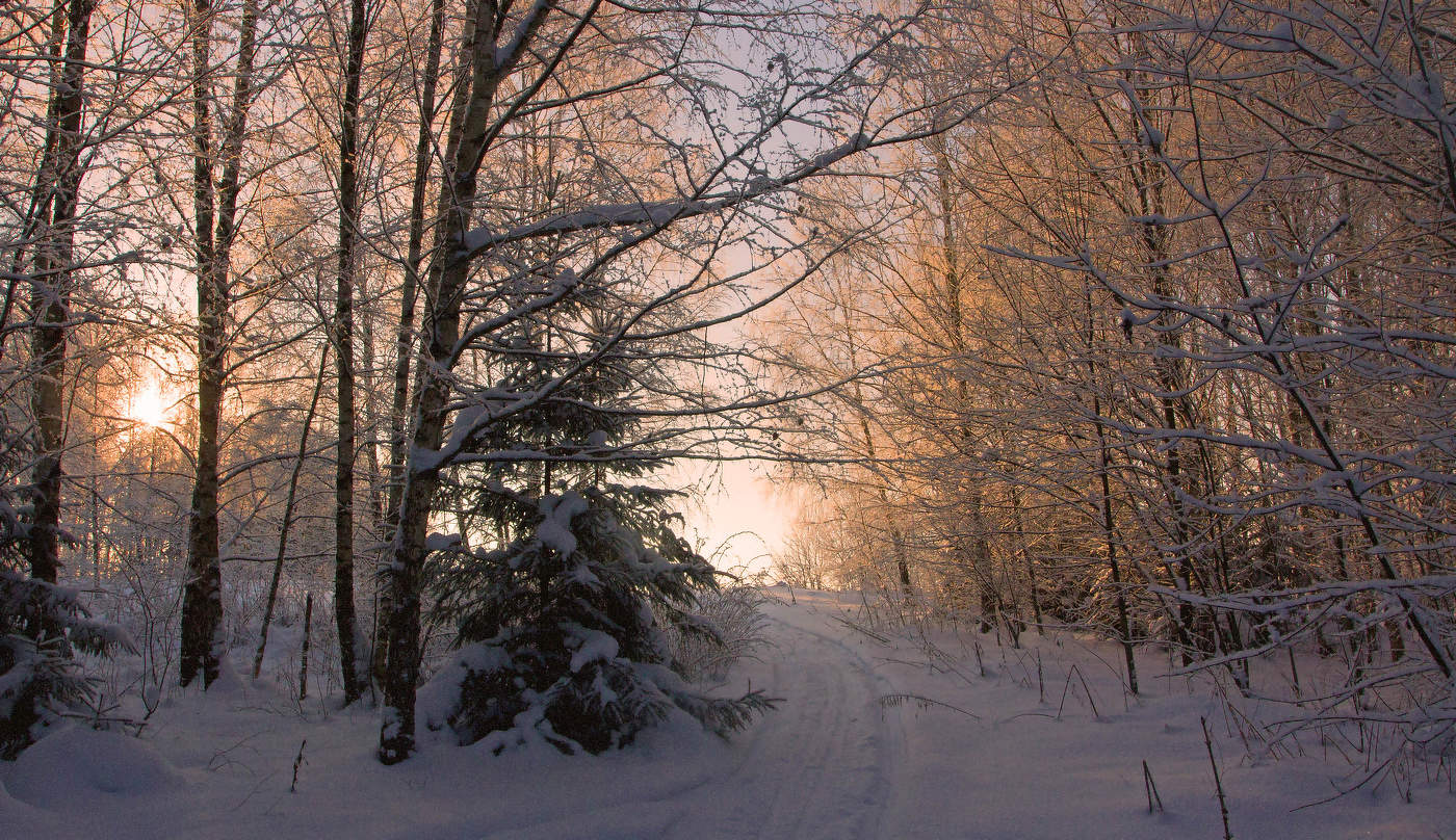 Die Dezember-Nachmittag