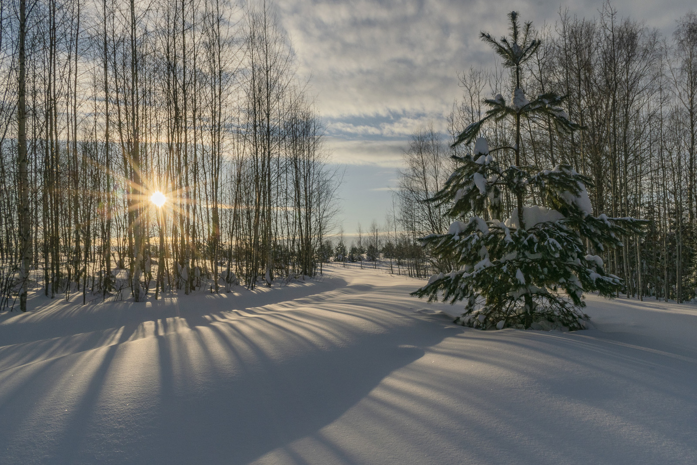 Sonnenuntergang im Winter