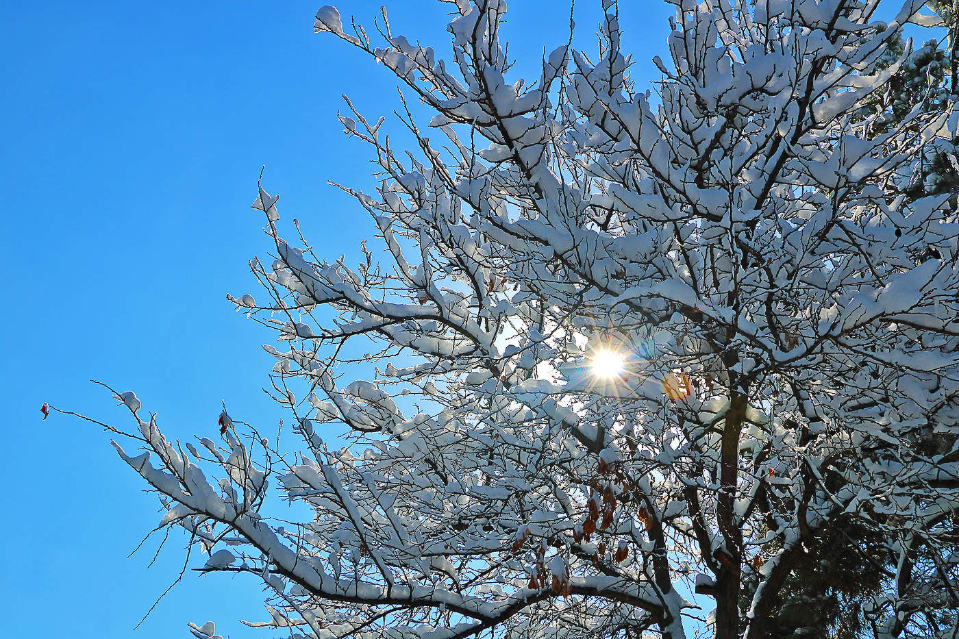 Frost und Sonne - ein wunderschöner Tag ...