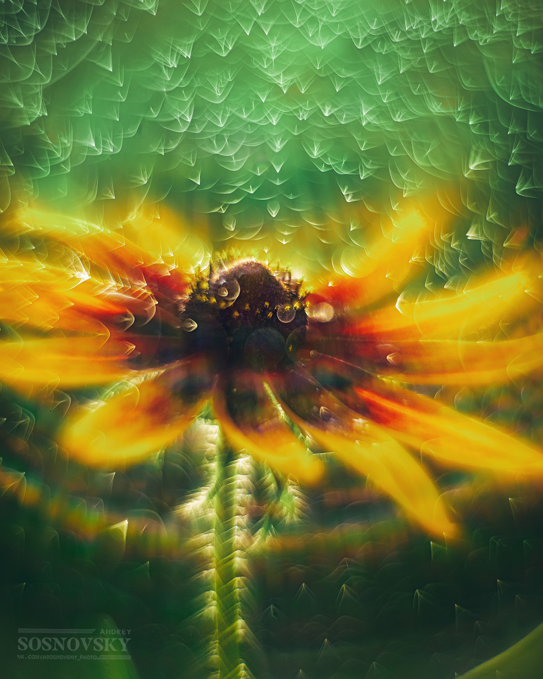 Der Zauber des Sommers