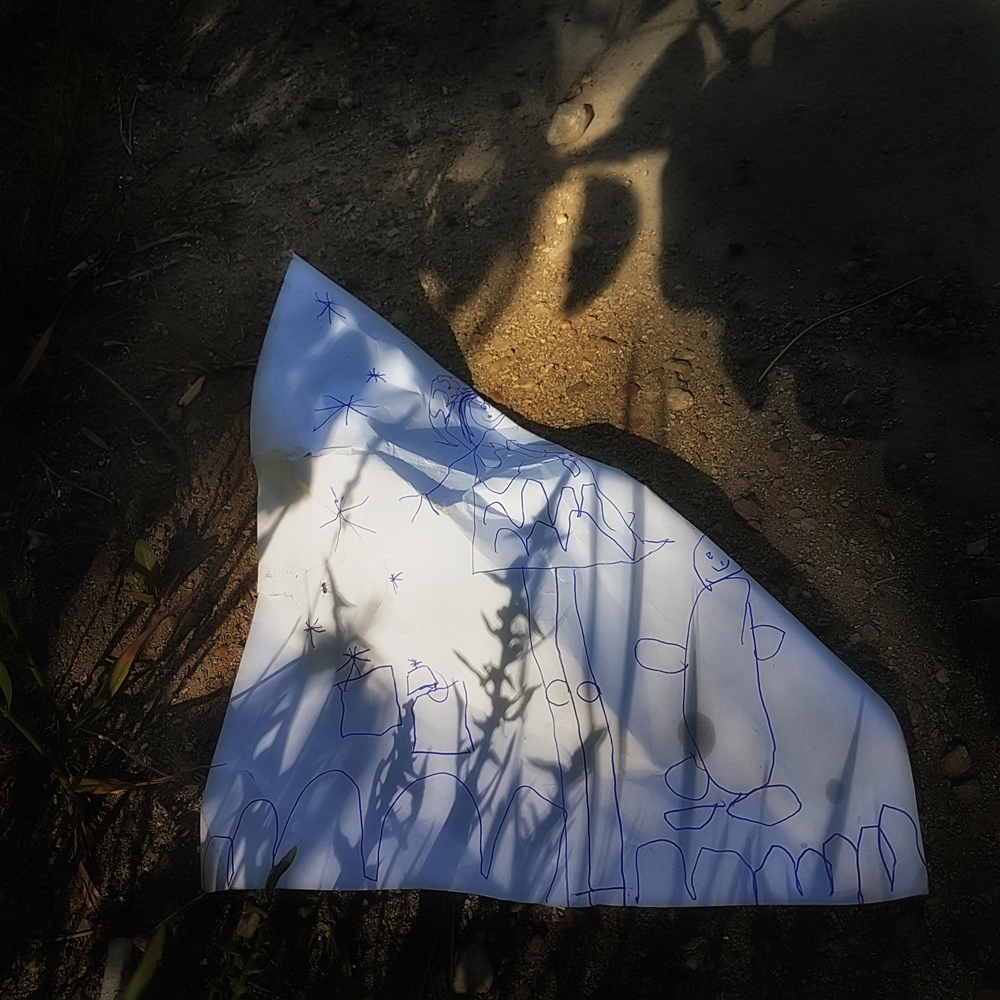 There in the deep green forest