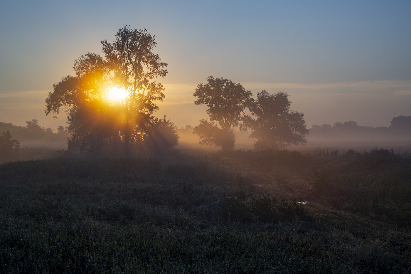 Der Durst nach der Sonne
