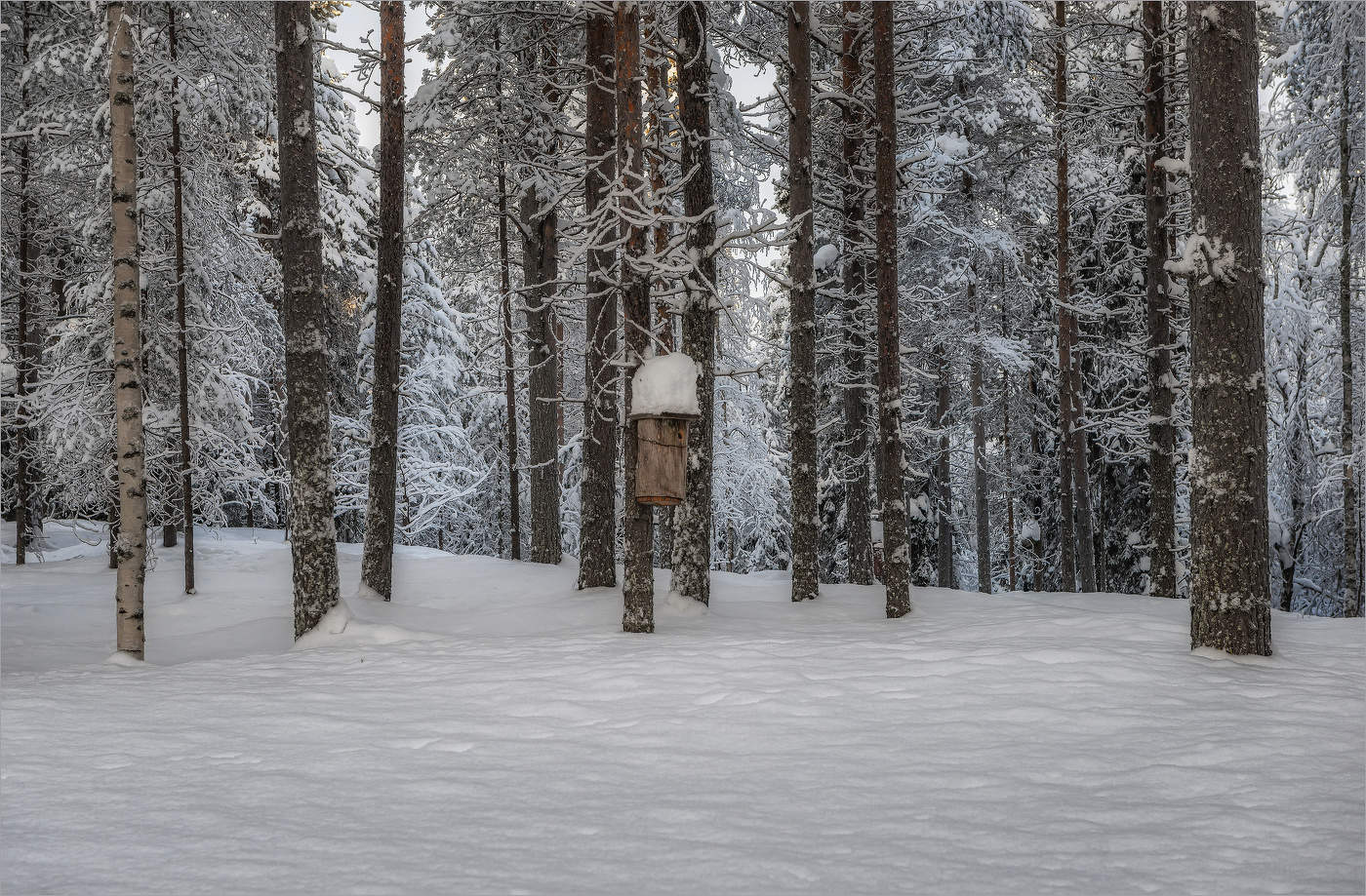 Warten auf den Frühling