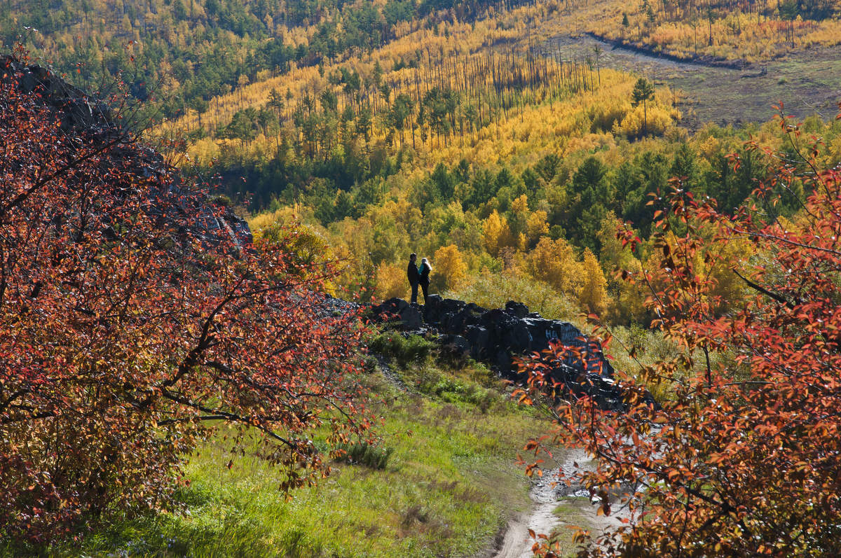 auf Herbst Hintergrund