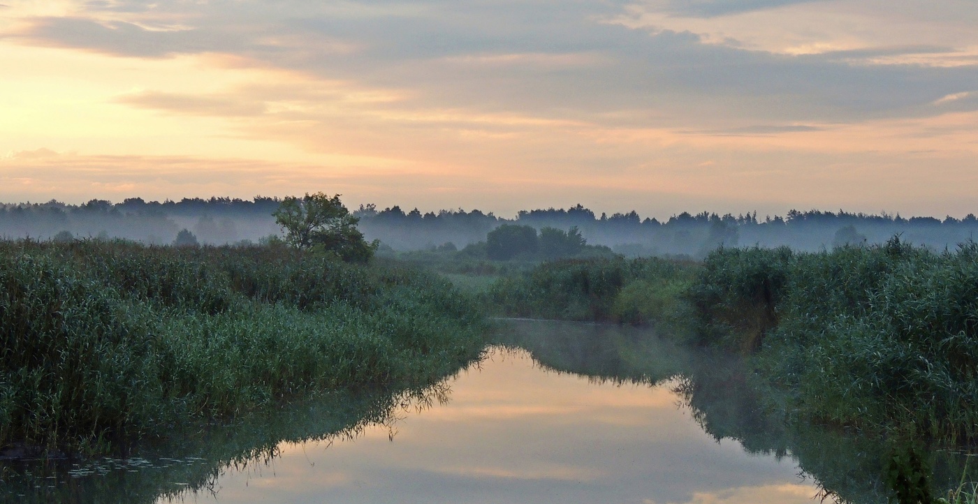 Morgen auf dem Fluss