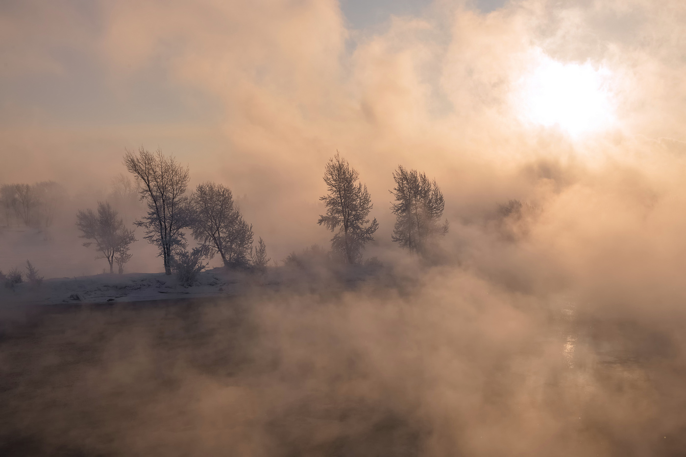 In der frostigen Nebel