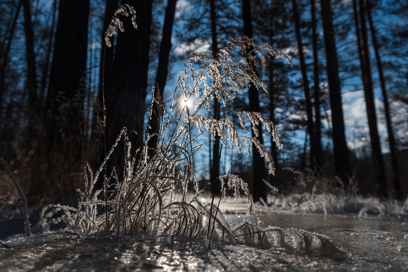 letzten Tag des Winters