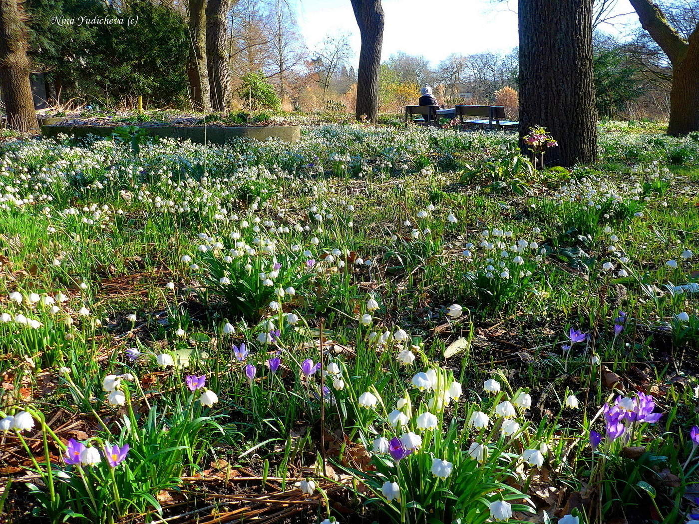 Planten un Blomen Hamburg
