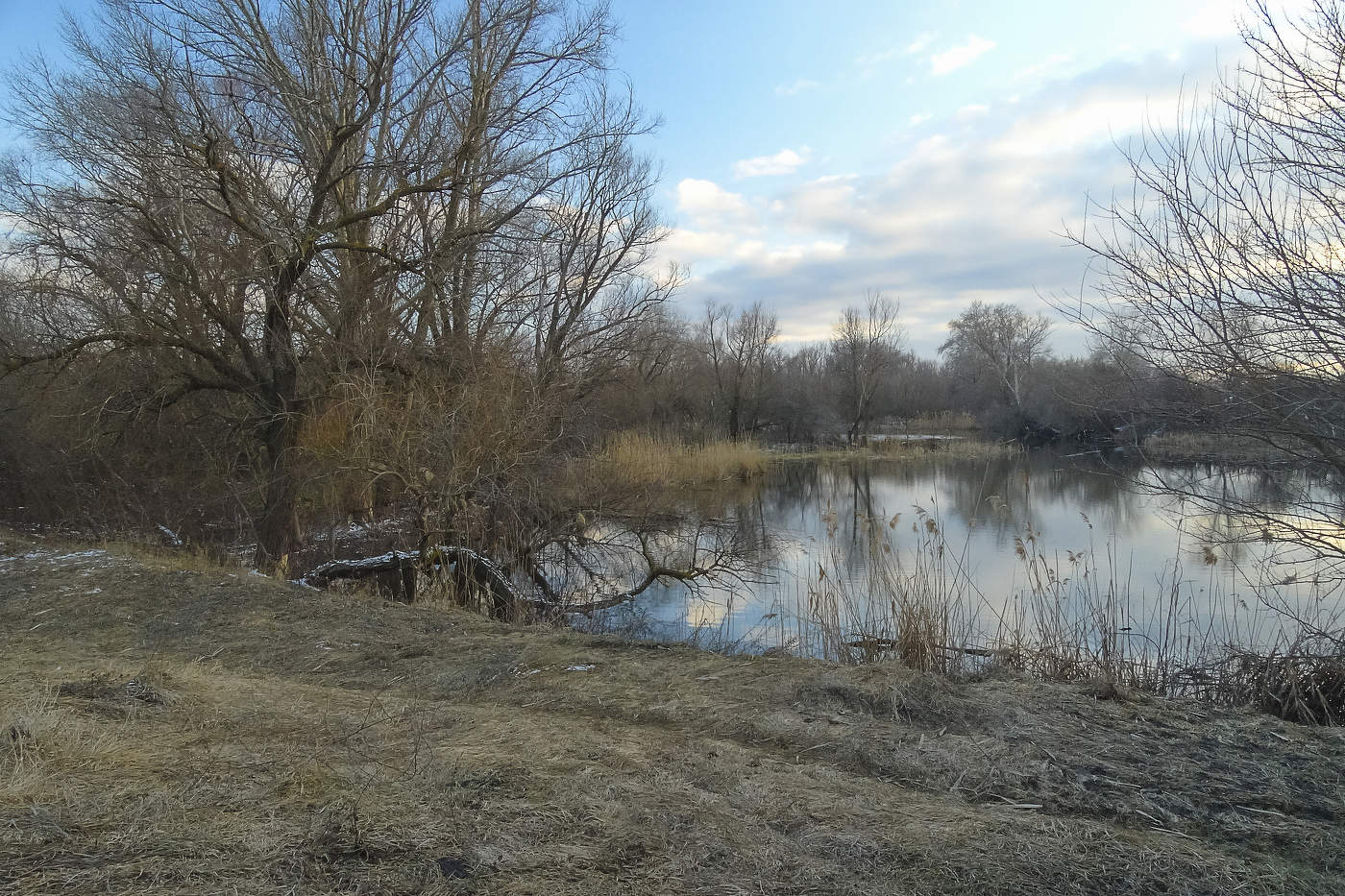 Der Frühling ist gleich um die Ecke