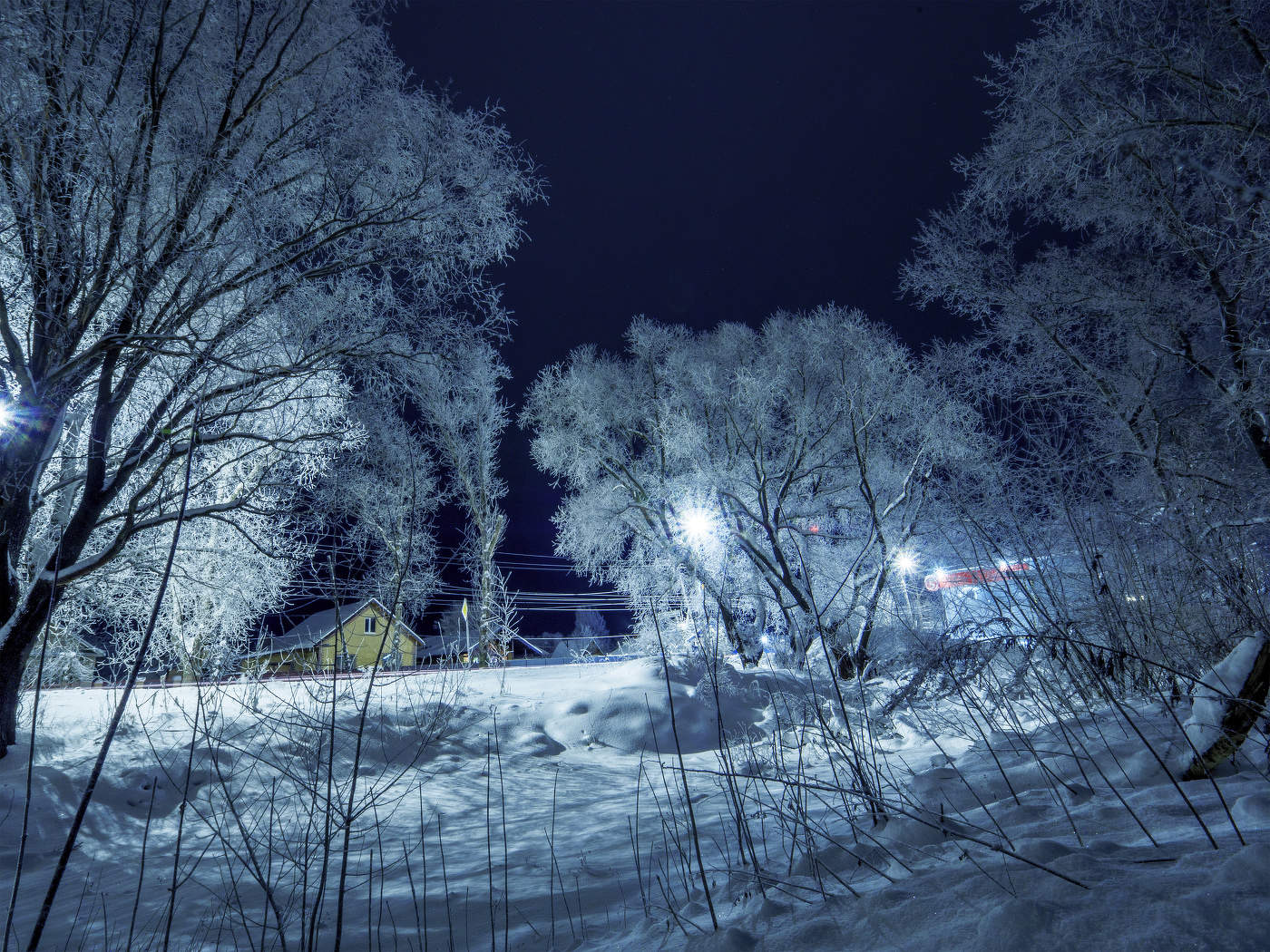 Winter Night