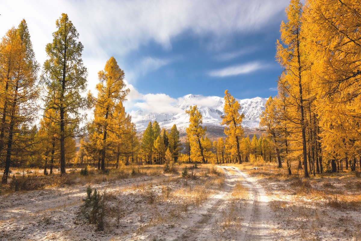 Auf dem Weg zum Fall