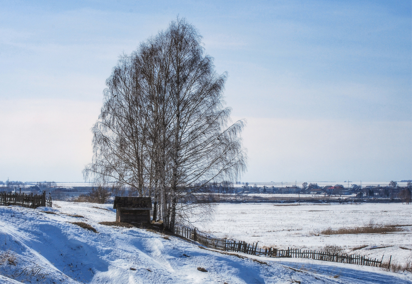 Die Saatkrähen sind angekommen