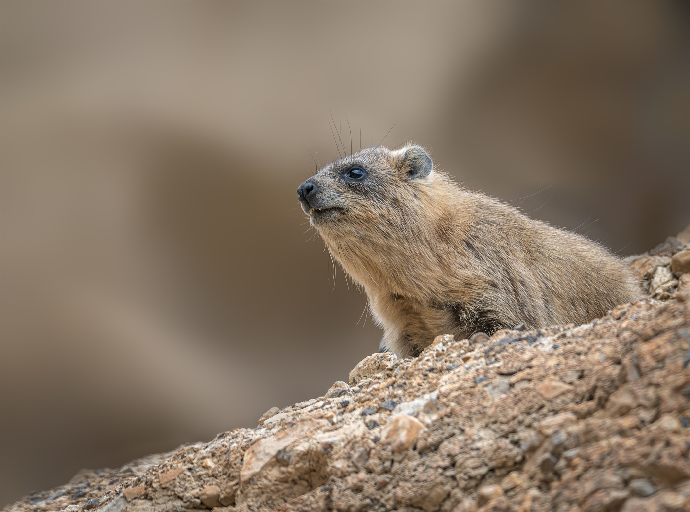 Neugier ist kein Laster