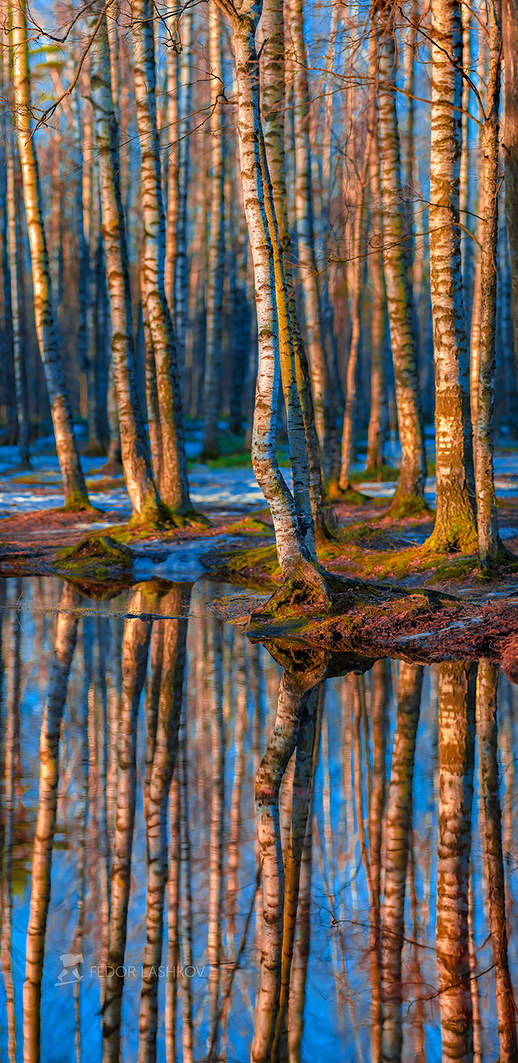 Die Farbe des Frühlings