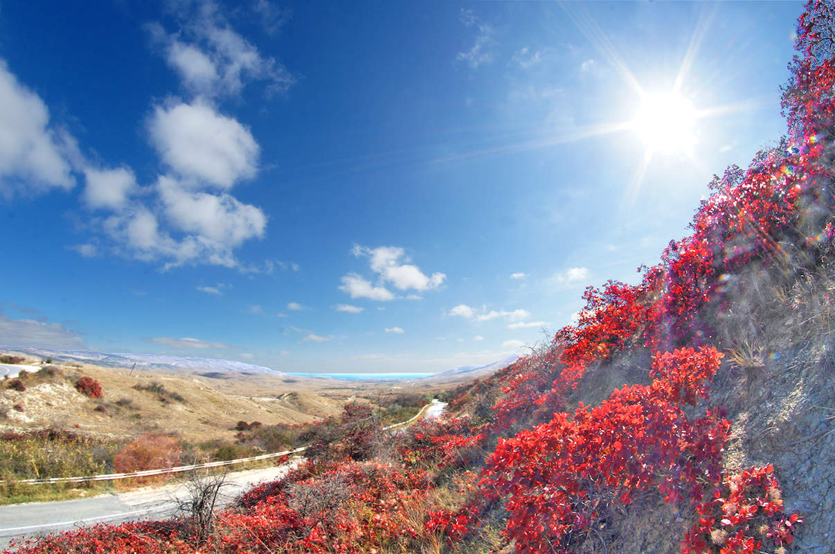 Herbst Putz Cimmeria