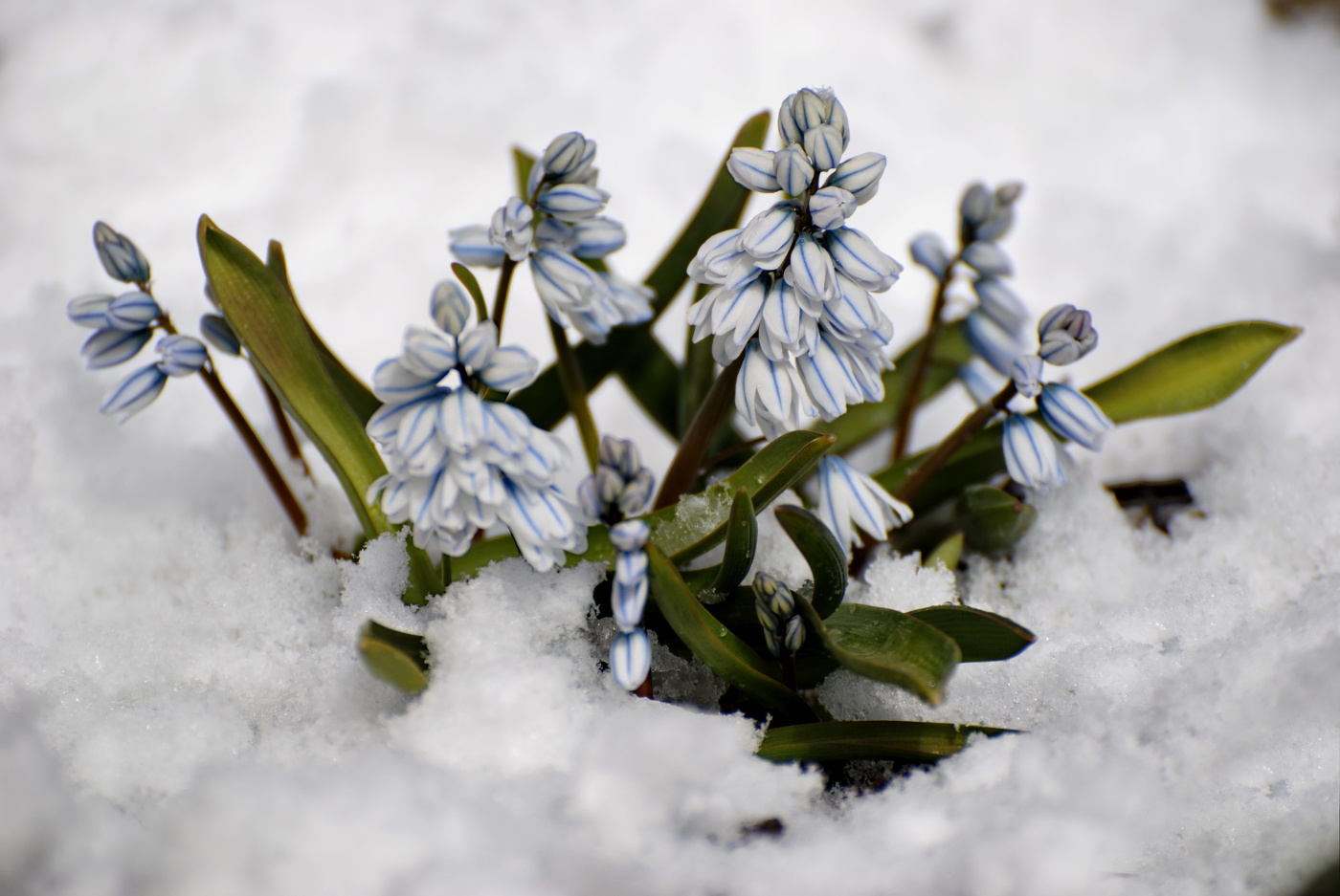 Der Winter ist zurück